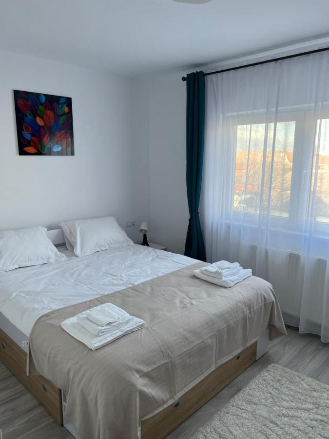 Cozy Residence Sibiu Exterior photo
